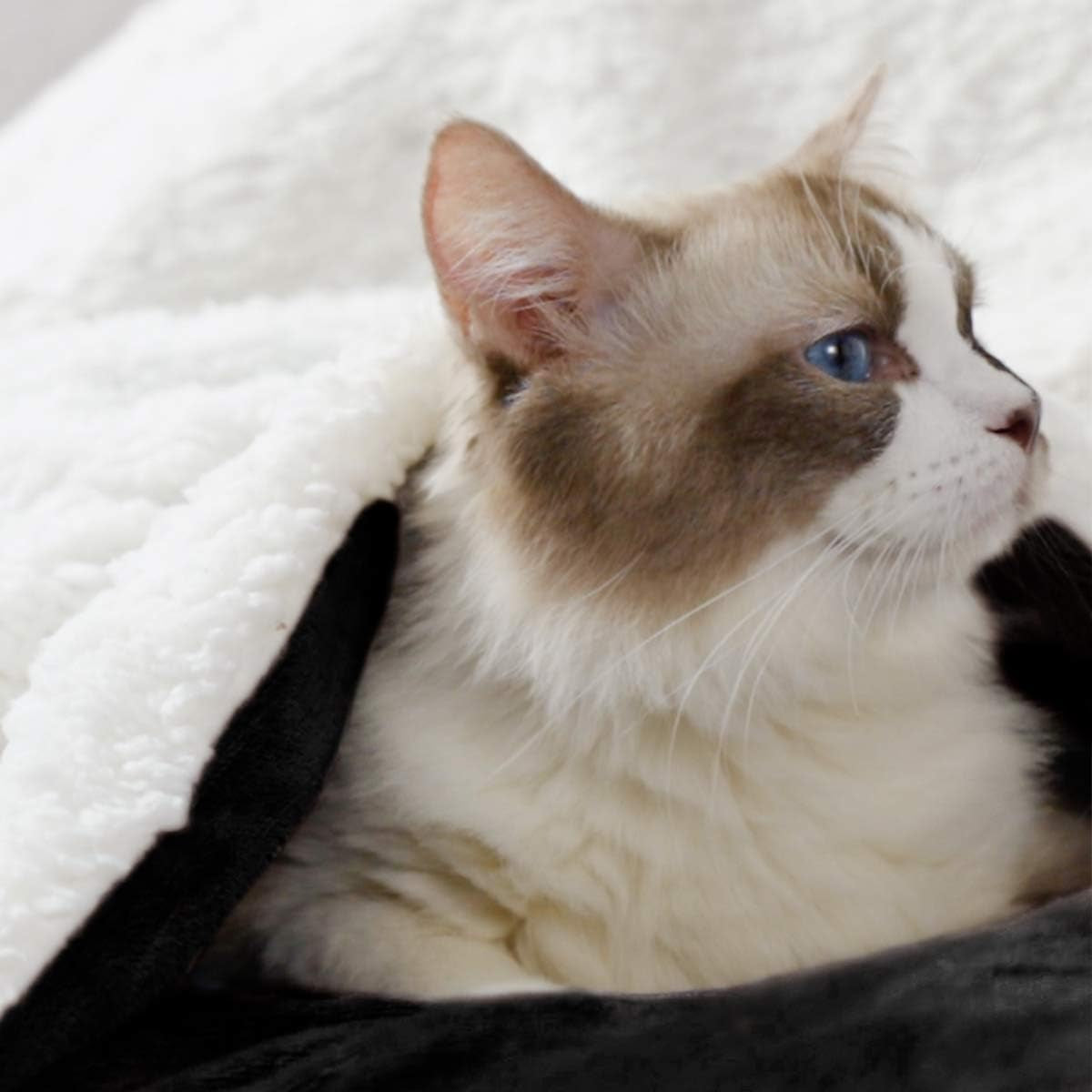 Fleece Sherpa Blanket for Couch(Black, Throw), Thick Warm Velvety Blanket for Winter Christmas, 50 X 60 Inches